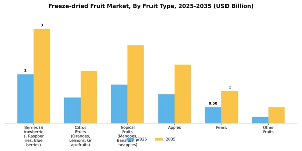 Freeze-dried Fruit Market Segment Image 2