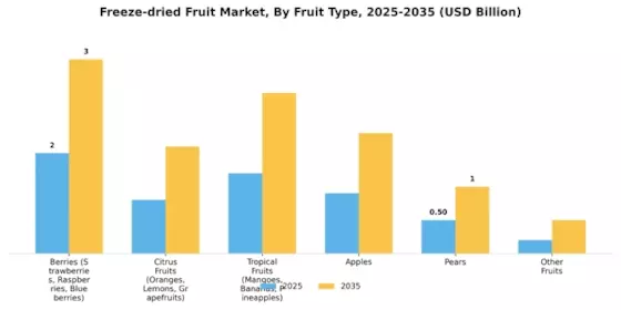 Freeze-dried Fruit Market Segment Image 1