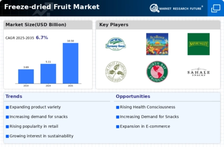 Freeze-dried Fruit Market Infographic