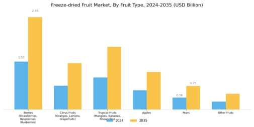 Freeze-dried Fruit Market Segment Image 1