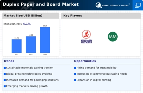 Duplex Paper Board Market Infographic
