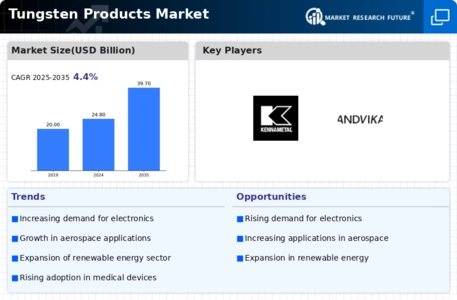Tungsten Products Market Infographic