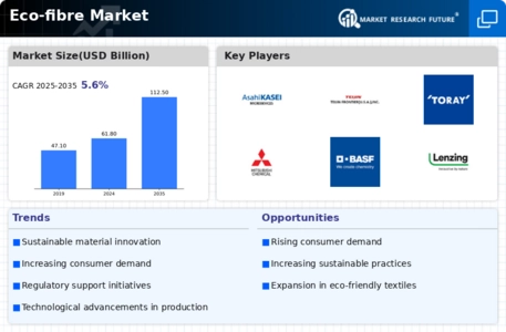 Eco-fibre Market Infographic