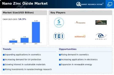 Nano Zinc Oxide Market Infographic