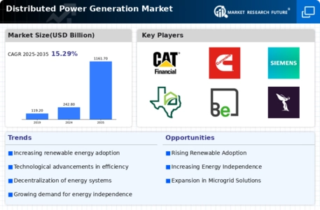 Distributed Power Generation Market Infographic
