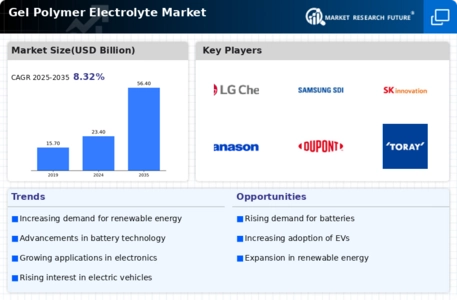 Gel Polymer Electrolyte Market Infographic