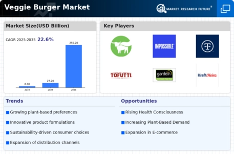 Veggie Burger Market Infographic