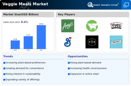 Veggie Meals Market  Infographic