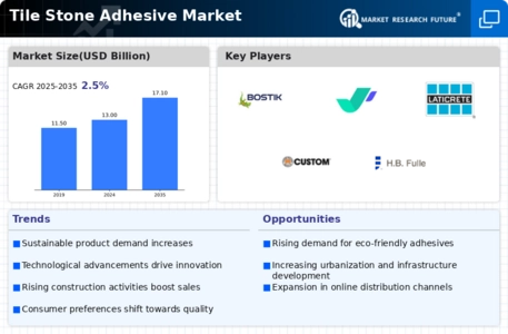 Tile Stone Adhesive Market
 Infographic