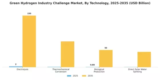 Green Hydrogen Industry Challenge Market Segment Image 0