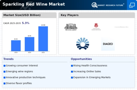Sparkling Red Wine Market Infographic