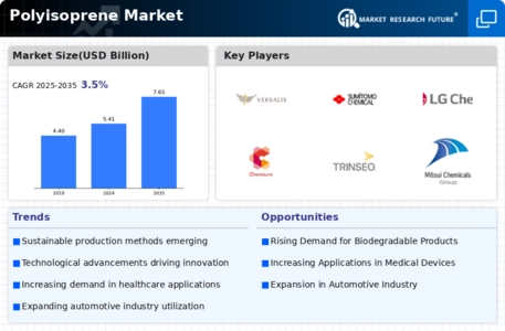 Polyisoprene Market Infographic