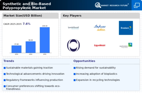 Synthetic and Bio-Based Polypropylene Market Infographic