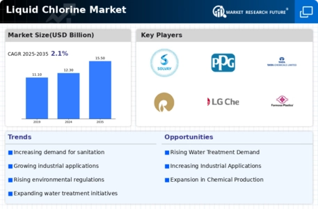 Liquid Chlorine Market Infographic