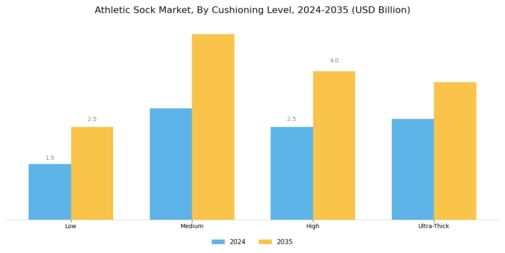 Athletic Sock Market Segment Image 1