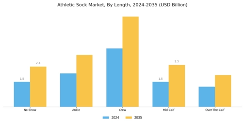 Athletic Sock Market Segment Image 3