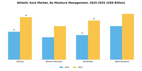 Athletic Sock Market Segment Image 3
