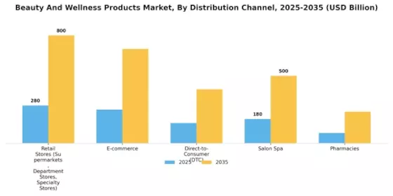 Beauty And Wellness Products Market Segment Image 1