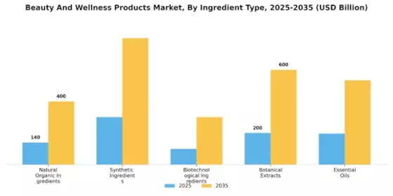Beauty And Wellness Products Market Segment Image 4