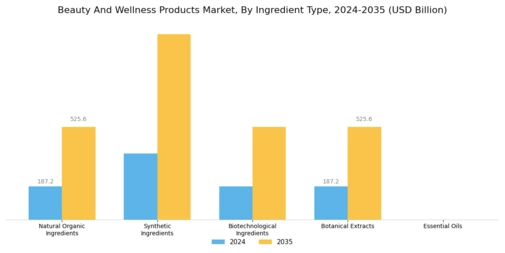 Beauty And Wellness Products Market Segment Image 4