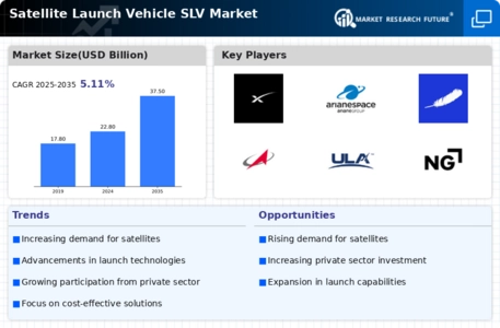 Satellite Launch Vehicle SLV Market Infographic