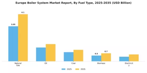 Europe Boiler System Market Segment Image 2