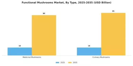 Functional Mushrooms Market Segment Image 0