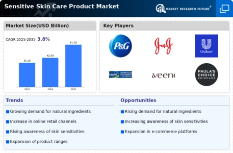Sensitive Skin Care Product Market Infographic