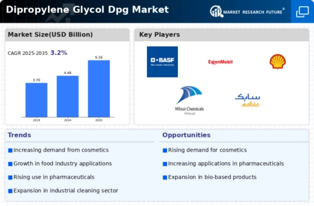 Dipropylene Glycol Market Infographic