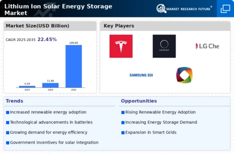 Lithium Ion Solar Energy Storage Market Infographic