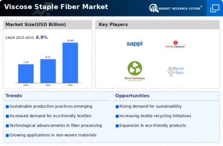 Viscose Staple Fiber Market Infographic