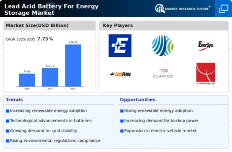 Lead Acid Battery For Energy Storage Market Infographic