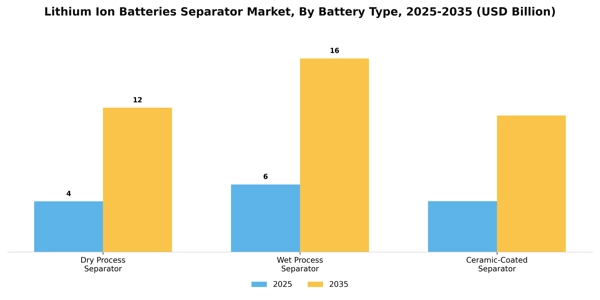 Lithium Ion Batteries Separator Market Segment Image 1