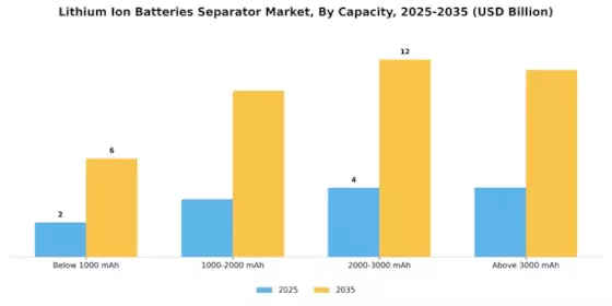 Lithium Ion Batteries Separator Market Segment Image 4