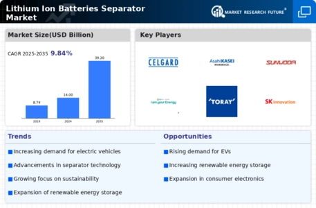 Lithium Ion Batteries Separator Market Infographic