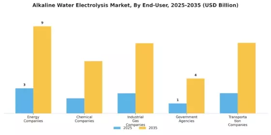 Alkaline Water Electrolysis Market
 Segment Image 3