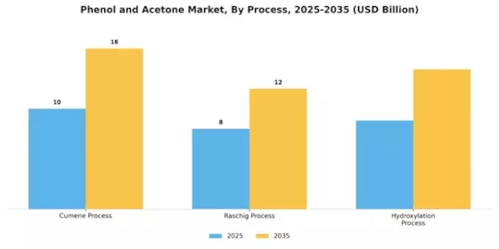 Phenol Acetone Market Segment Image 3