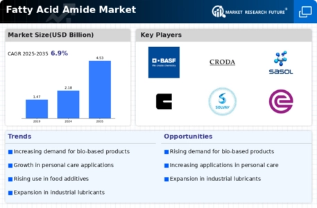 Fatty Acid Amide Market Infographic