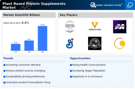 Plant Based Protein Supplements Market Infographic