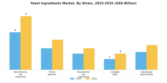 Yeast Ingredients Market Segment Image 2