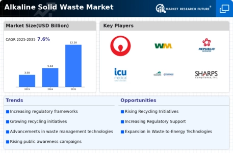 Alkaline Solid Waste Market Infographic