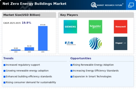 Net Zero Energy Buildings Market Infographic