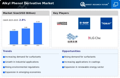 Alkyl Phenol Derivative Market Infographic