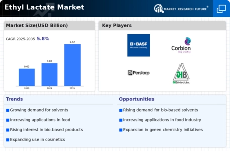 Ethyl Lactate Market Infographic
