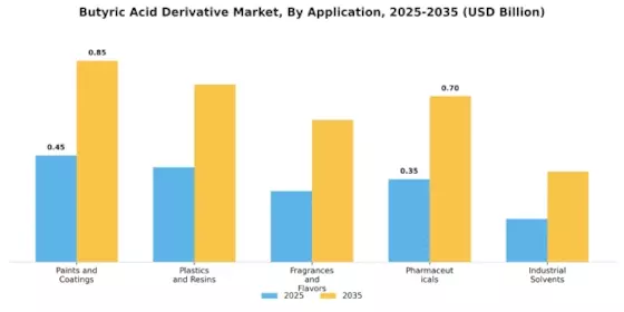 Butyric Acid Derivative Market Segment Image 1