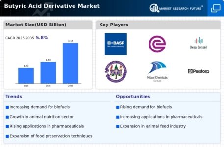 Butyric Acid Derivative Market Infographic