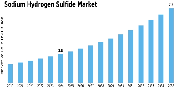 Sodium Hydrogen Sulfide Market Size