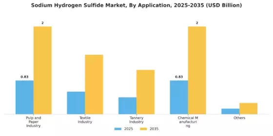 Sodium Hydrogen Sulfide Market Segment Image 1