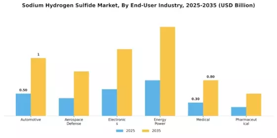 Sodium Hydrogen Sulfide Market Segment Image 3