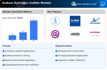 Sodium Hydrogen Sulfide Market Infographic